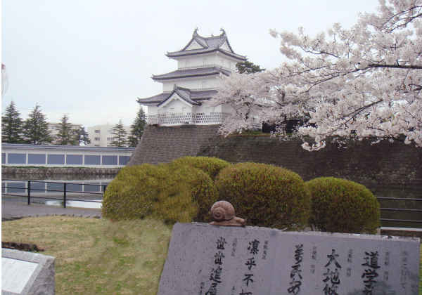 美しい桜の名城、新発田城