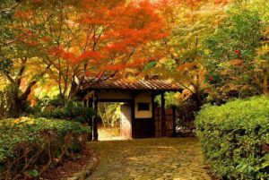 浜松城公園の日本庭園門を彩る紅葉