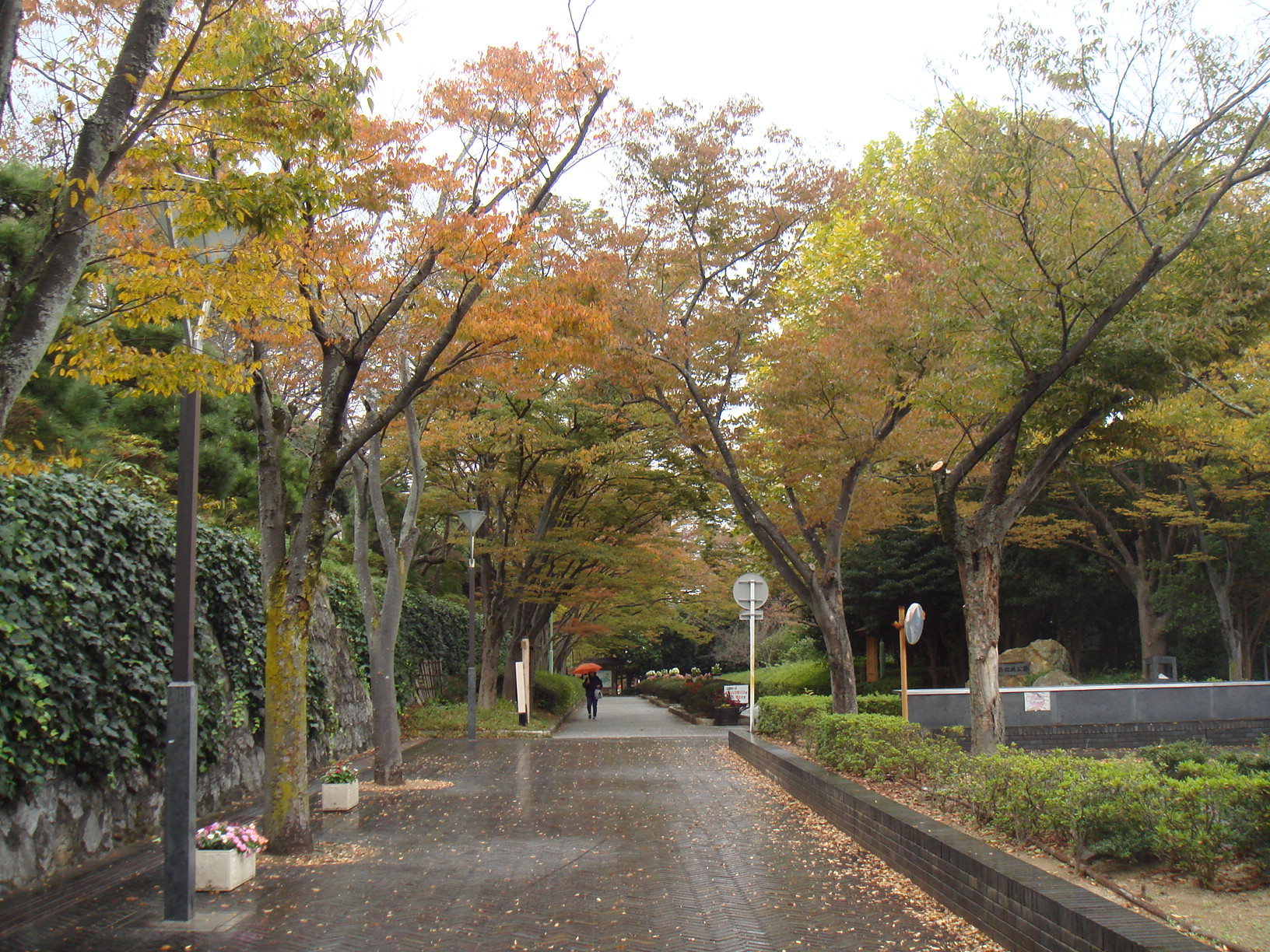 徳川家康ゆかりの城 浜松城 紅葉の美景観 美しい景観